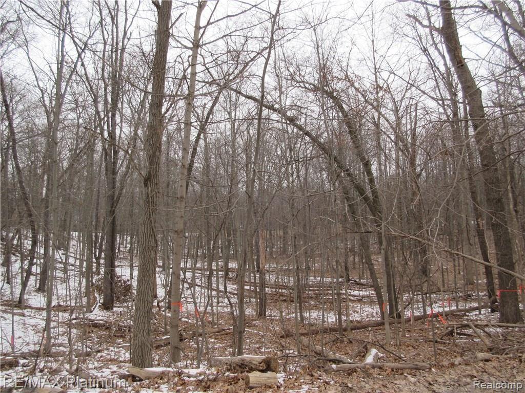4 Welle Road Brighton, MI 48116 - Photo 3 of 8