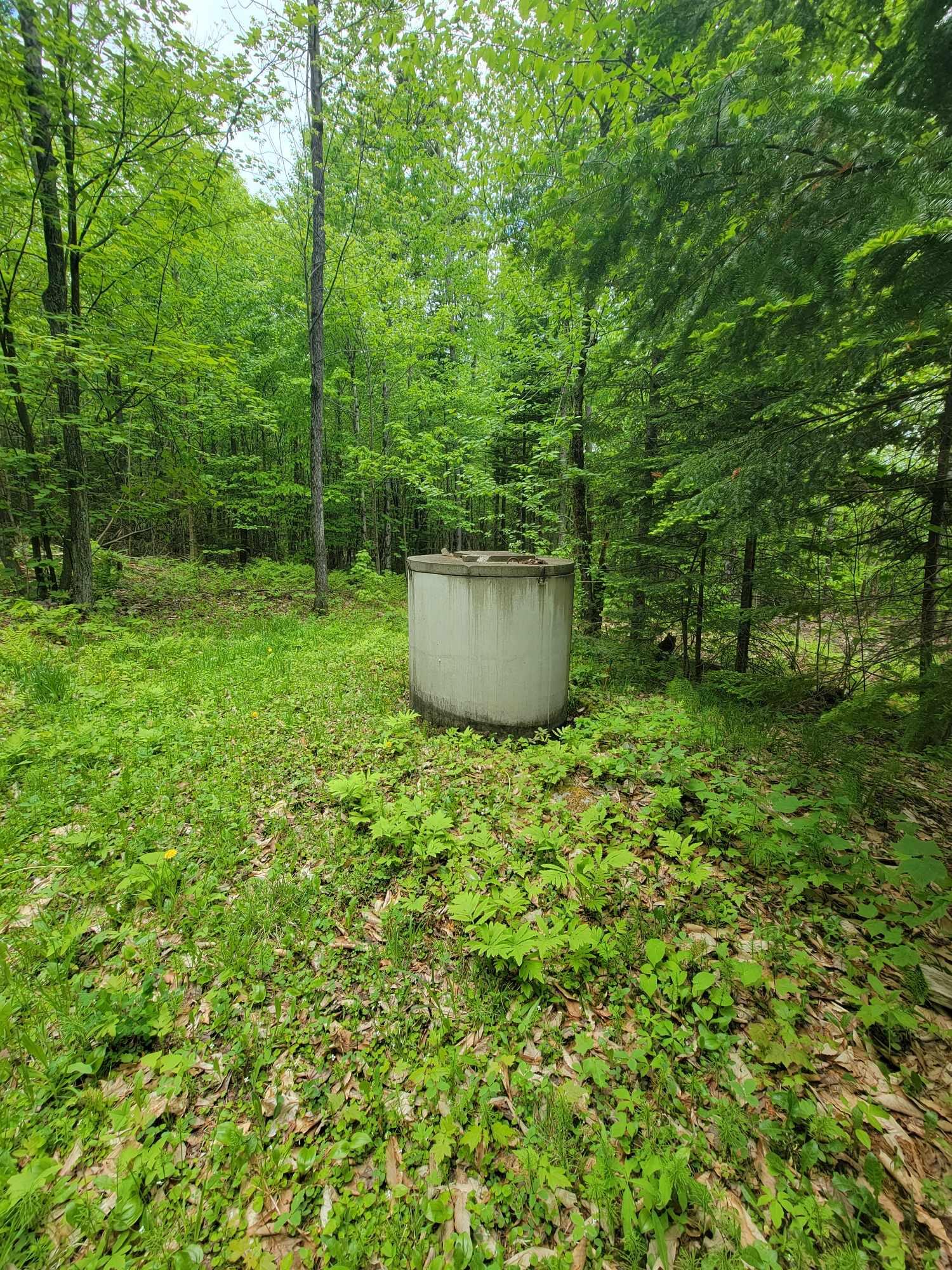 233 Weld Road Phillips, ME 04966 - Photo 22 of 38 IMG_1119