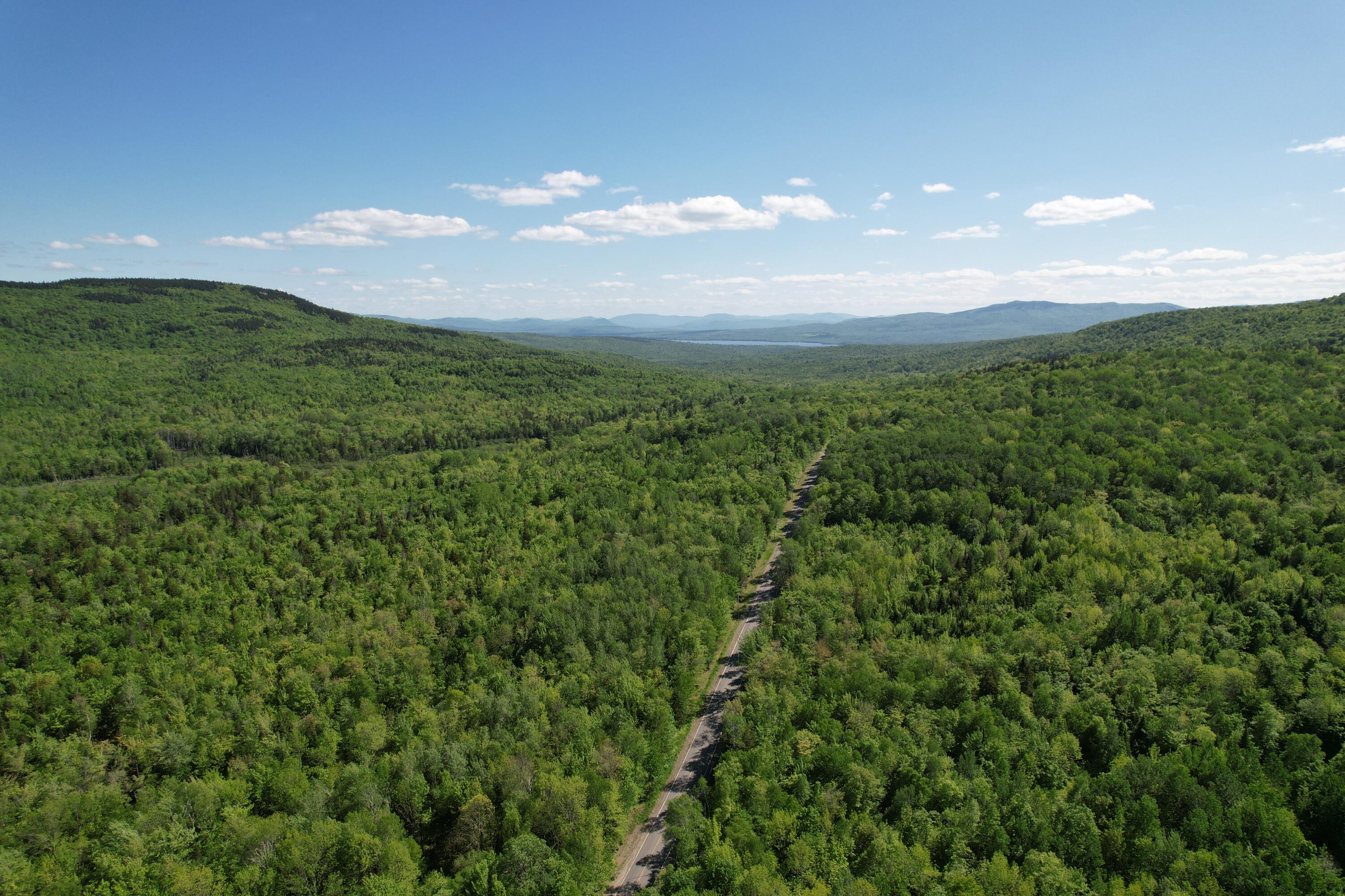 233 Weld Road Phillips, ME 04966 - Photo 23 of 38 DJI_0792