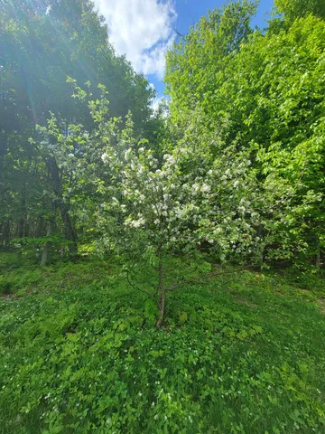 $679,000 | 233 Weld Road, Phillips, ME 04966