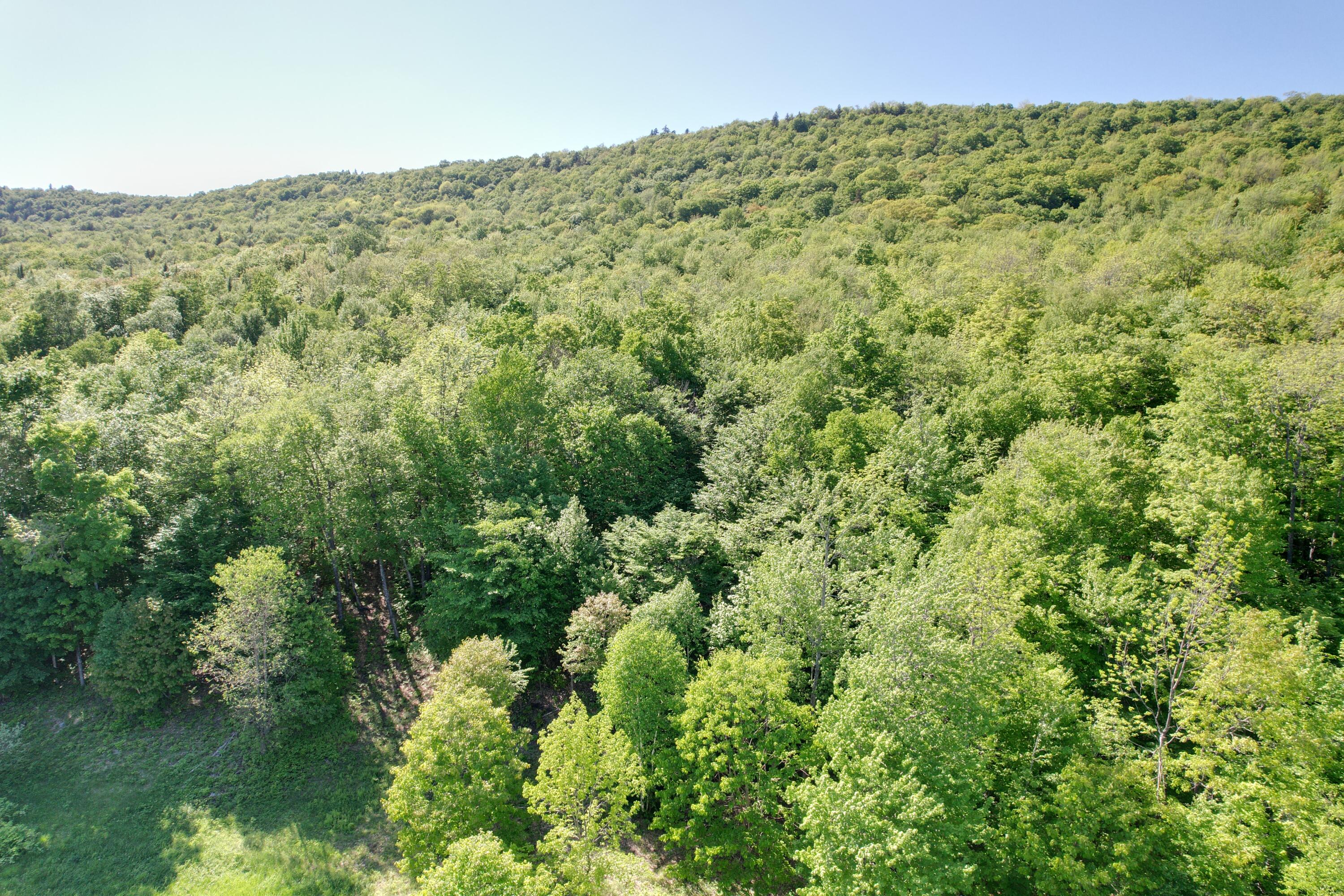 233 Weld Road Phillips, ME 04966 - Photo 38 of 38 DJI_0790