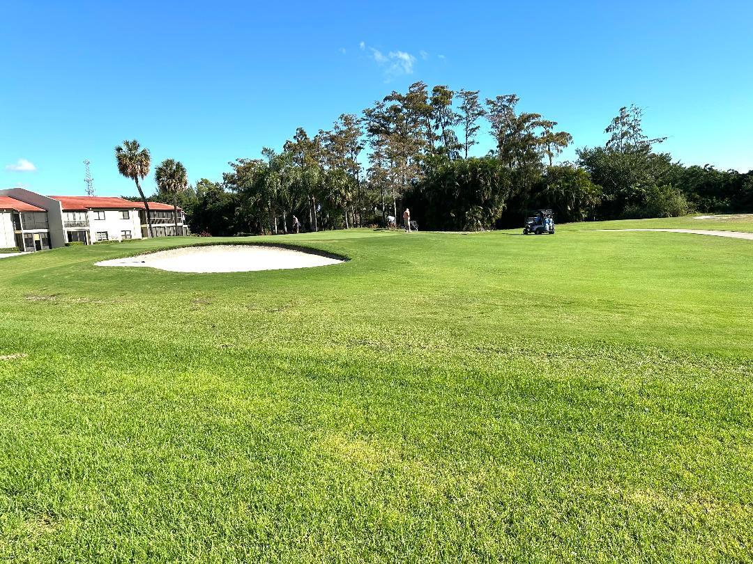 8305 Casa Del Lago, Unit E Boca Raton, FL 33433 - Photo 15 of 20 backyard