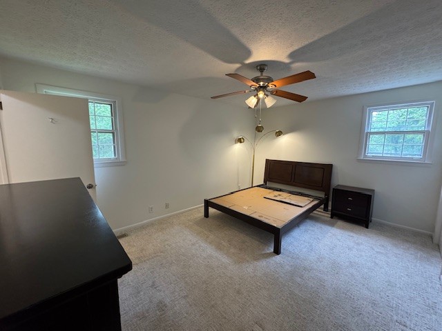 7311 Henry Road Fairview, TN 37062 - Photo 12 of 26