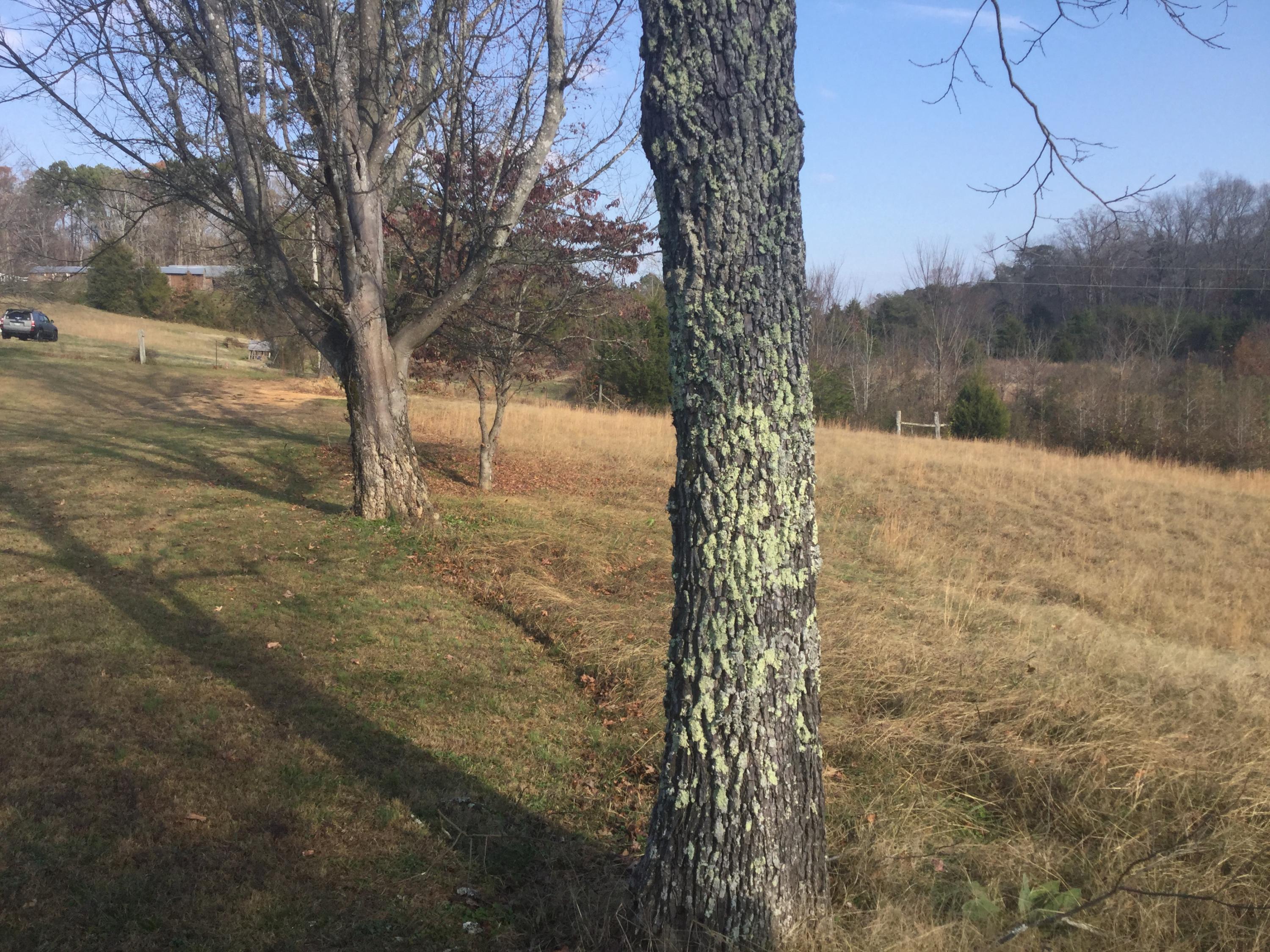 Lot 18 Pryor Road Maryville, TN 37804 - Photo 1 of 12 IMG_0102