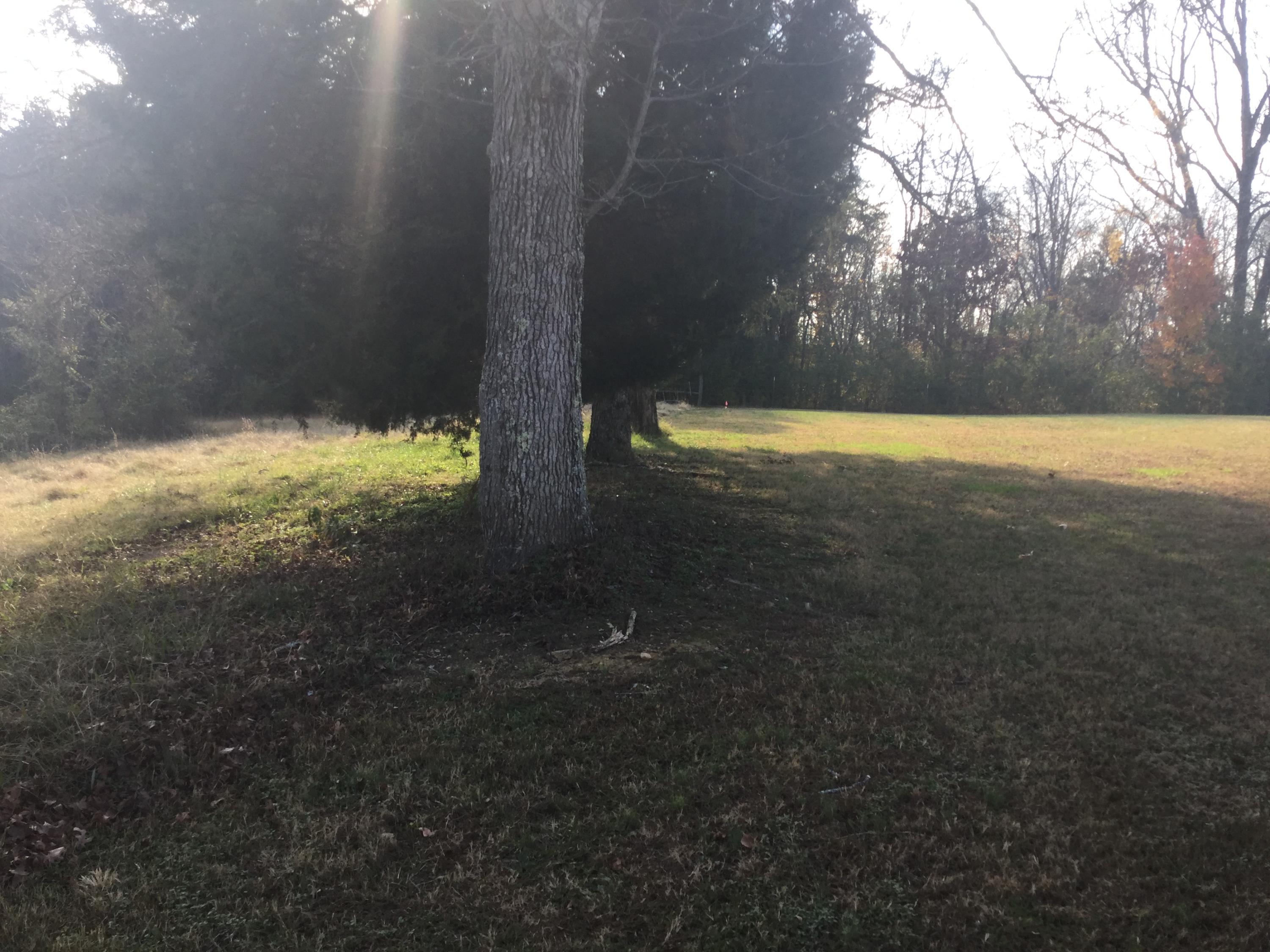Lot 18 Pryor Road Maryville, TN 37804 - Photo 2 of 12 IMG_0101