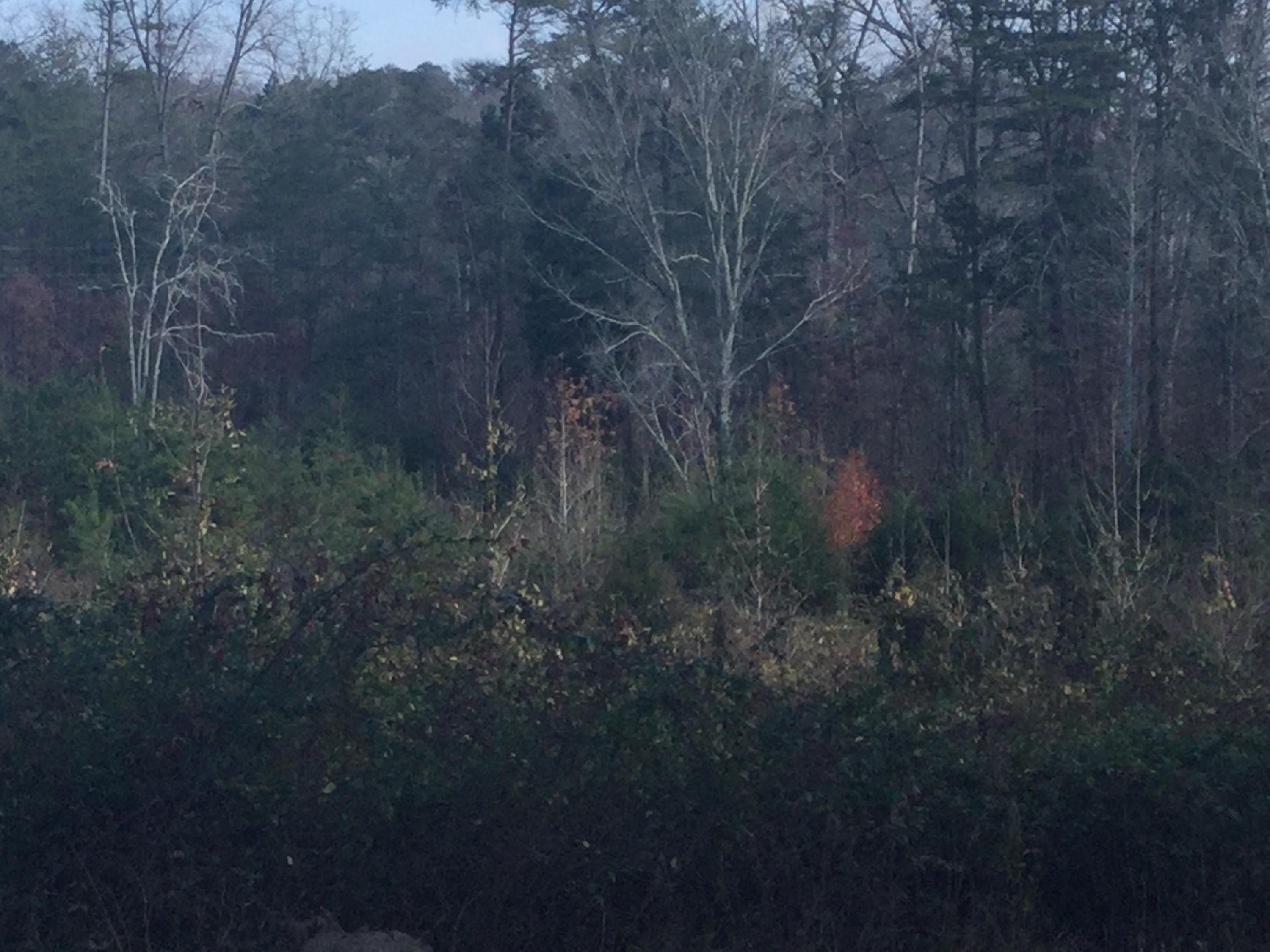 Lot 18 Pryor Road Maryville, TN 37804 - Photo 12 of 12 IMG_0105