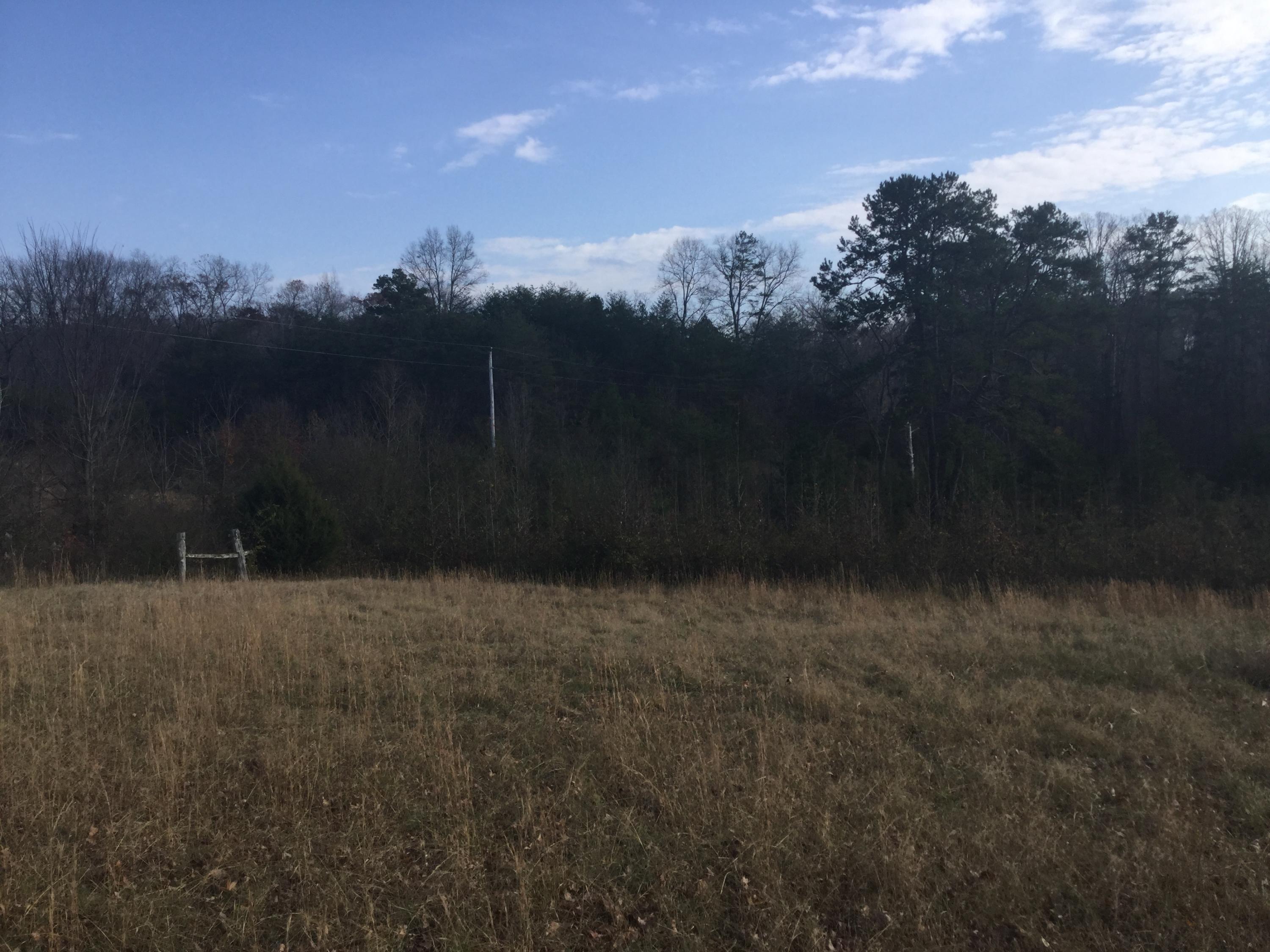 Lot 18 Pryor Road Maryville, TN 37804 - Photo 3 of 12 IMG_0100