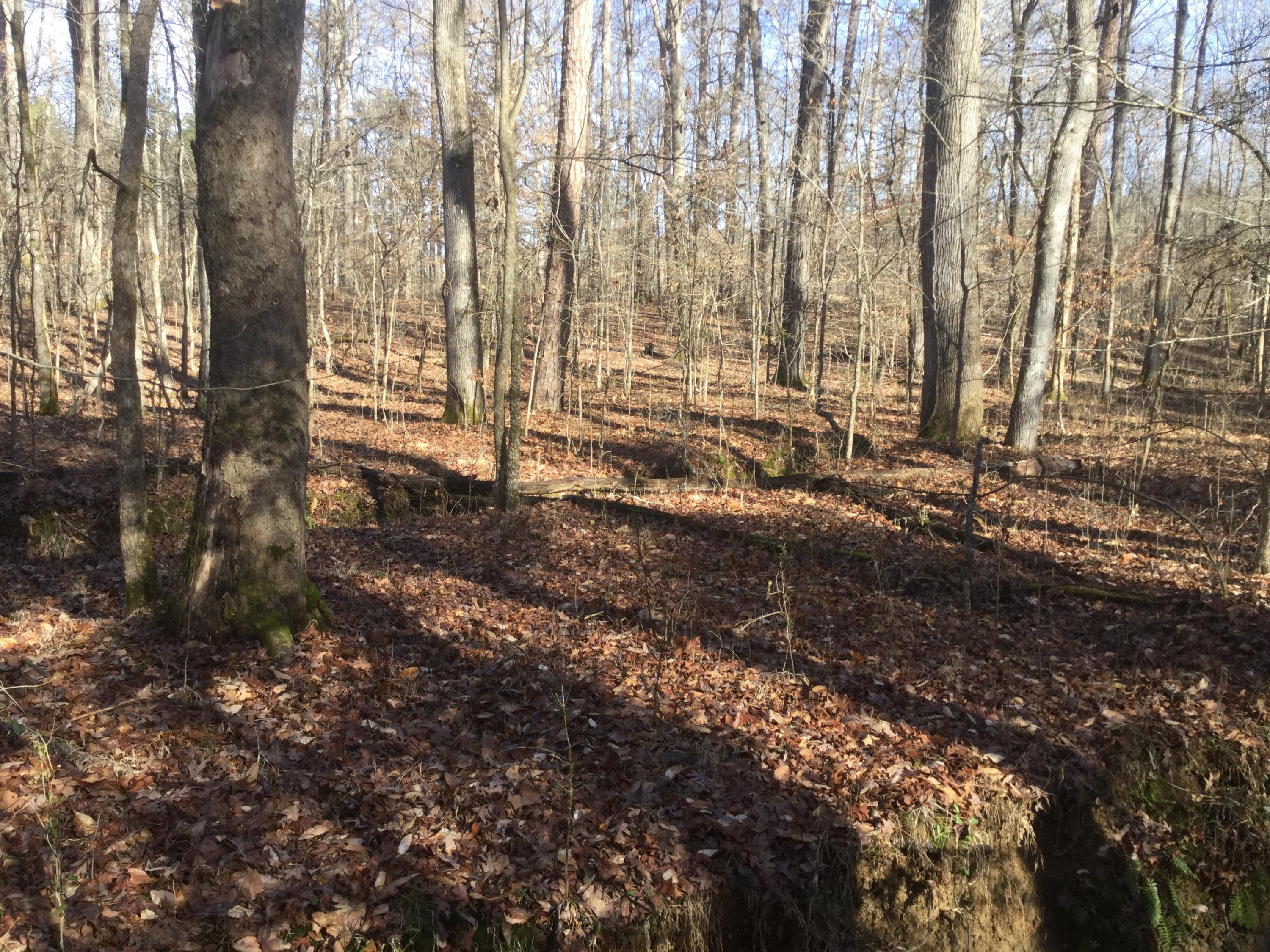 Lot 18 Pryor Road Maryville, TN 37804 - Photo 5 of 12 IMG_0152