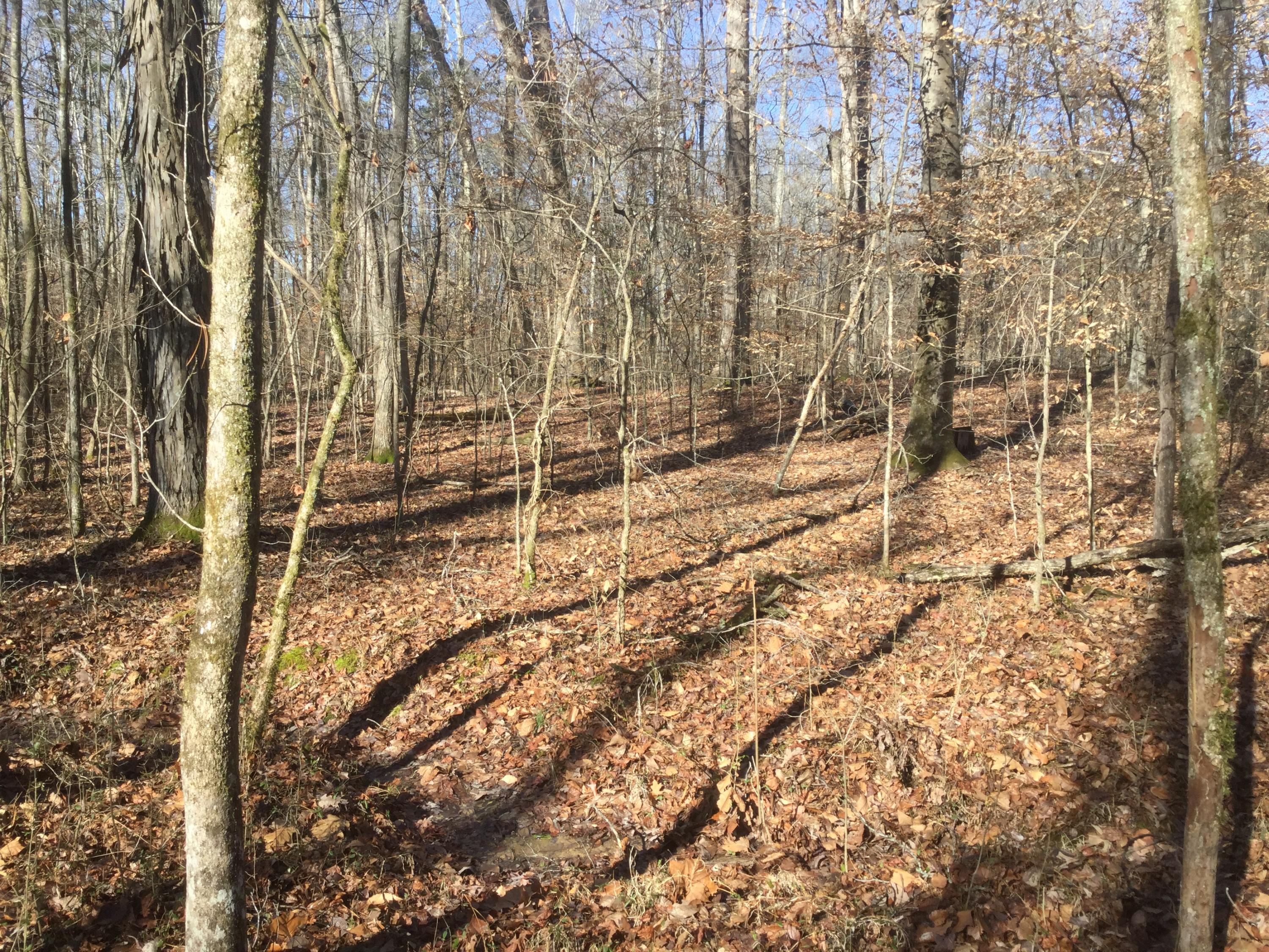 Lot 18 Pryor Road Maryville, TN 37804 - Photo 6 of 12 IMG_0153