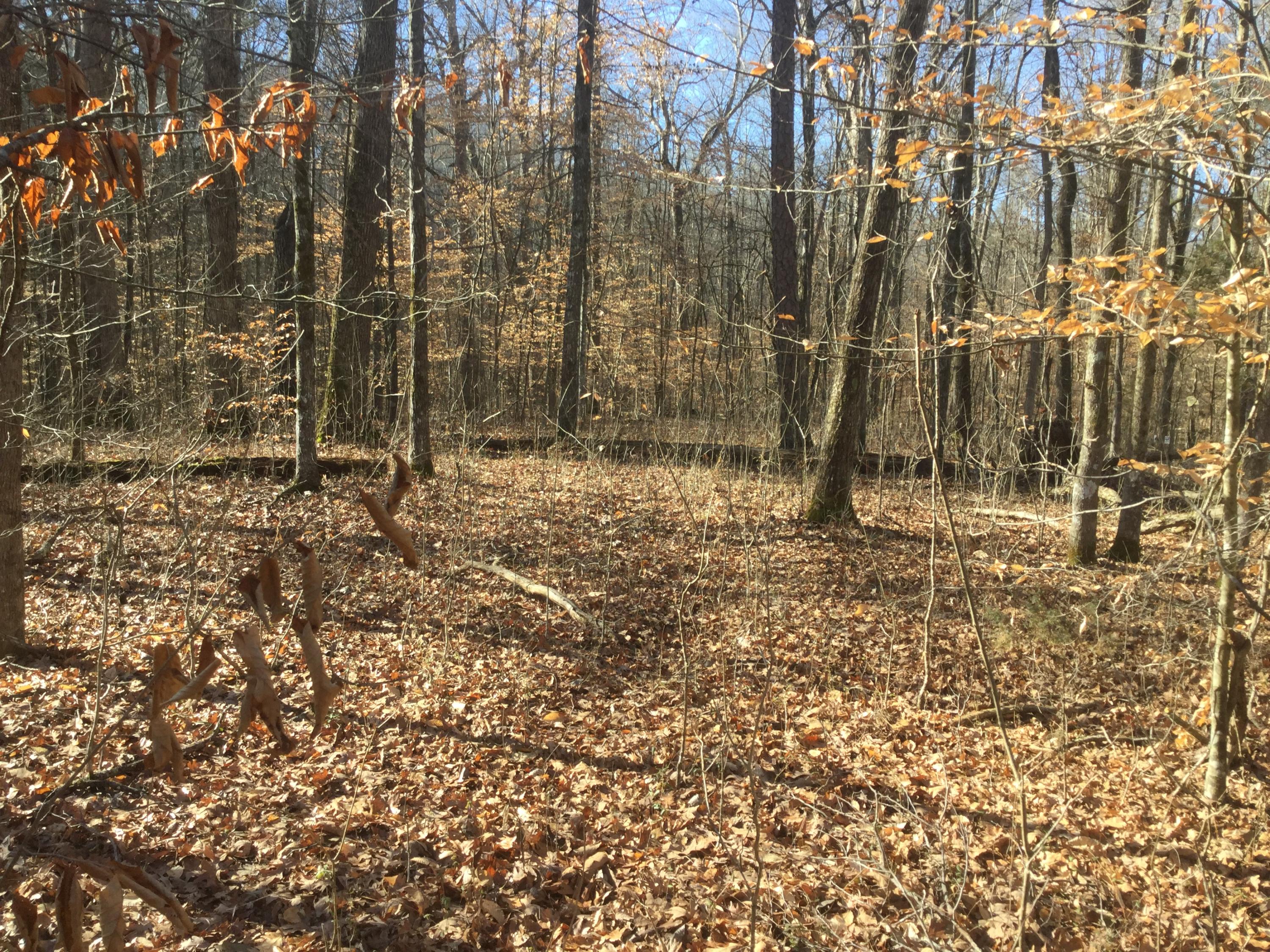 Lot 18 Pryor Road Maryville, TN 37804 - Photo 7 of 12 IMG_0155