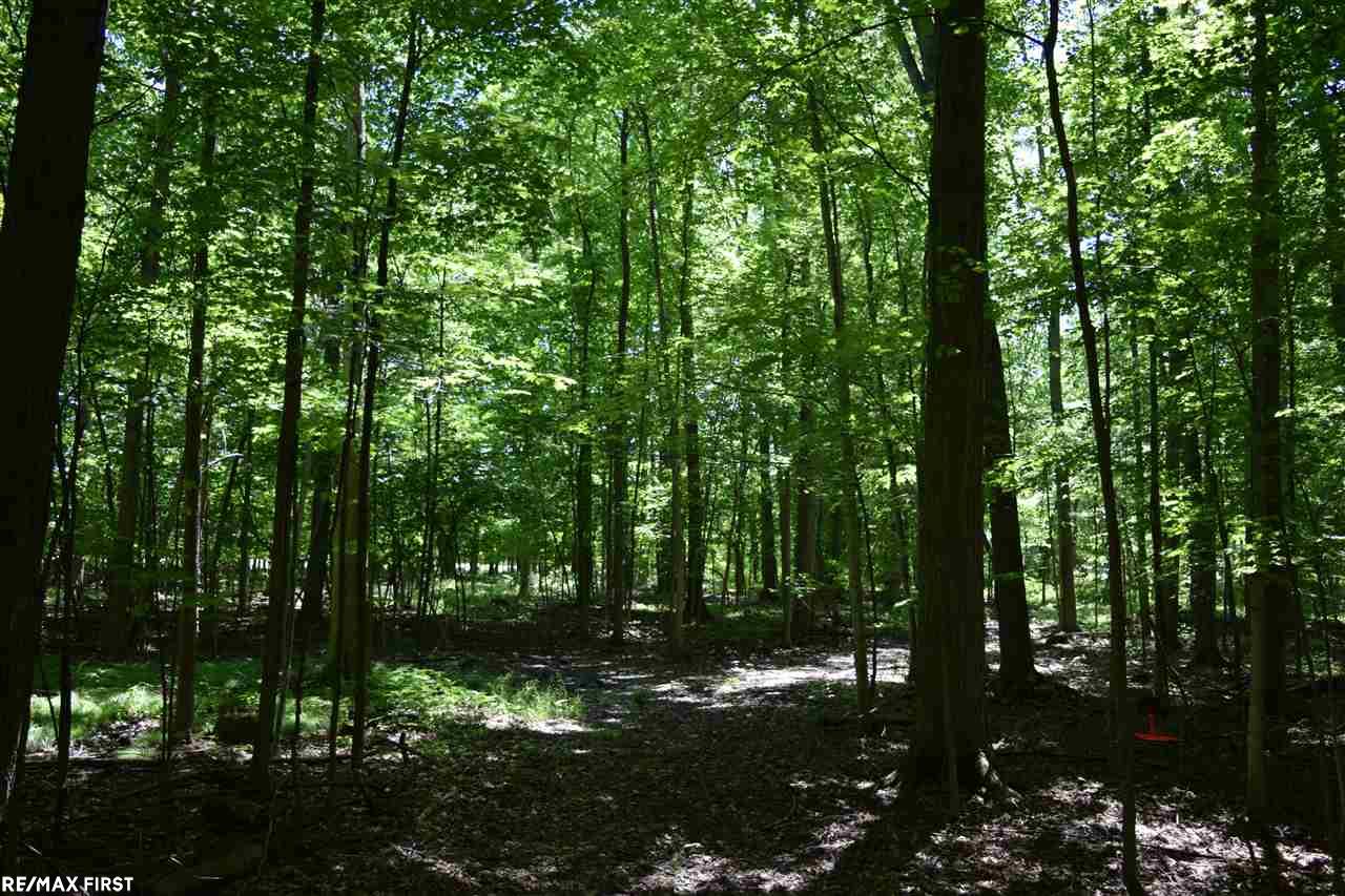 Kilgore Road Avoca, MI 48006 - Photo 4 of 11