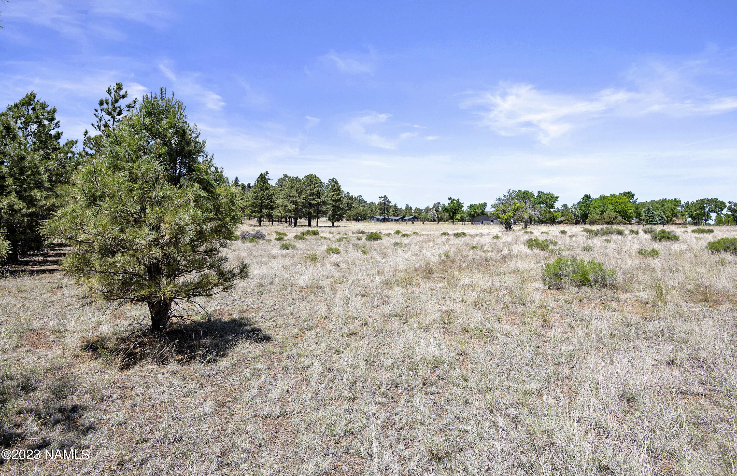 8596 Slayton Ranch Road Flagstaff, AZ 86004 - Photo 13 of 14 Flat Building Areas
