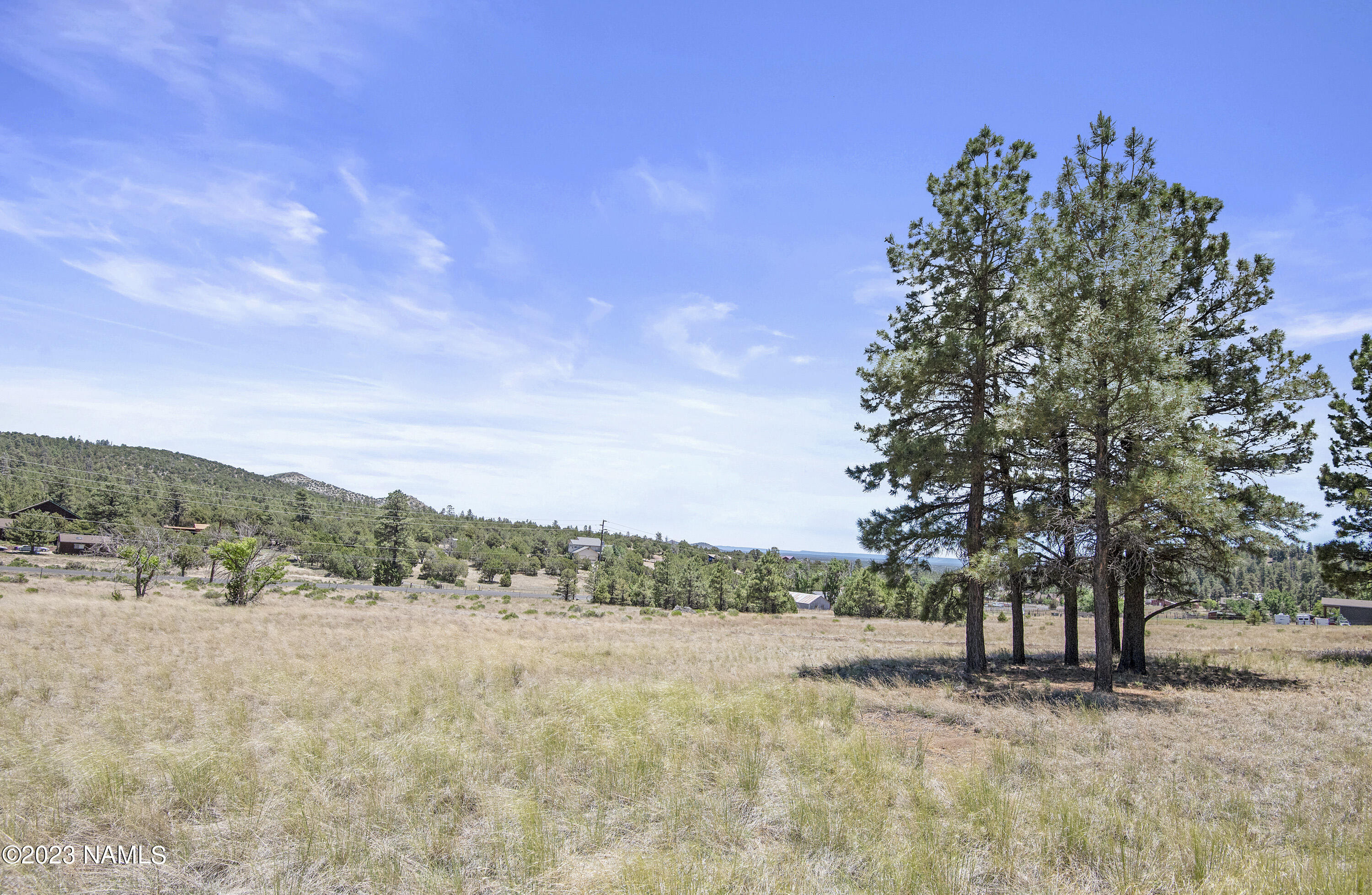 8596 Slayton Ranch Road Flagstaff, AZ 86004 - Photo 8 of 14 Many Building Sites