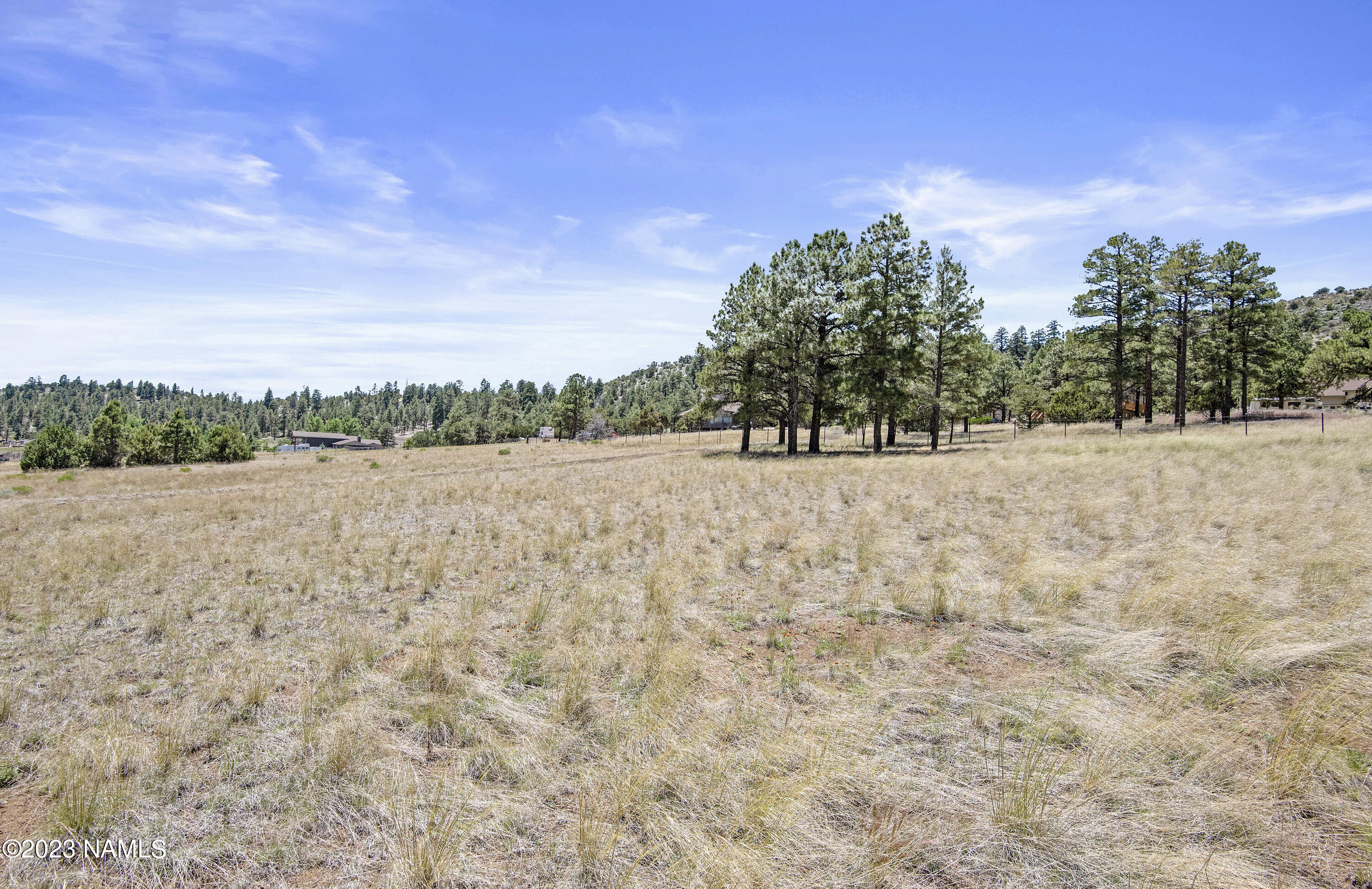 8596 Slayton Ranch Road Flagstaff, AZ 86004 - Photo 9 of 14 Flat Areas