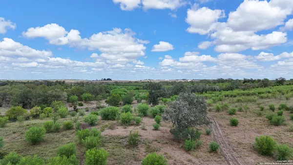 a view of a bunch of trees