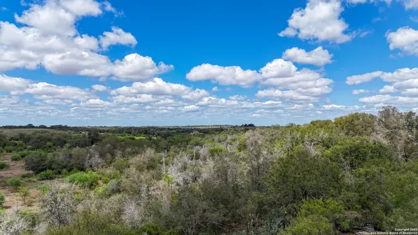 a view of a bunch of trees