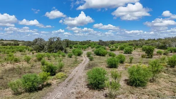 a view of a bunch of trees