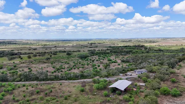 a view of a bunch of trees