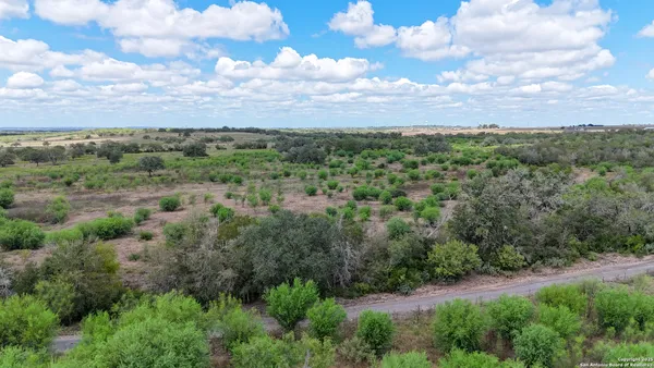 a view of a lot of trees