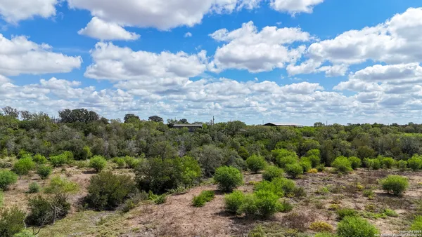 a view of a tree with a yard