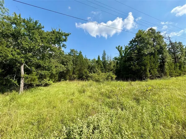 $6,000 | 0 Paladin Drive, Log Cabin, TX 75148