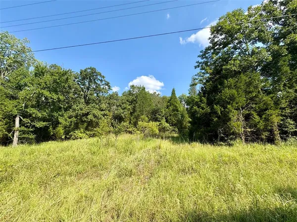 $6,000 | 0 Paladin Drive, Log Cabin, TX 75148