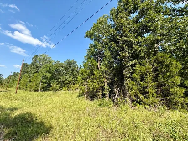 $6,000 | 0 Paladin Drive, Log Cabin, TX 75148