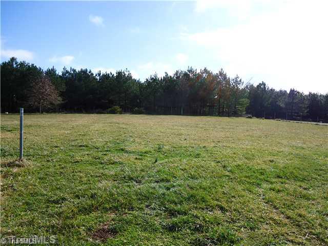 161 Christopher Road Stokesdale, NC 27357 - Photo 15 of 15 Other. Huge Backyard