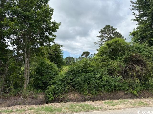 9.76-acs Rabon Road Aynor, SC 29511 - Photo 12 of 20