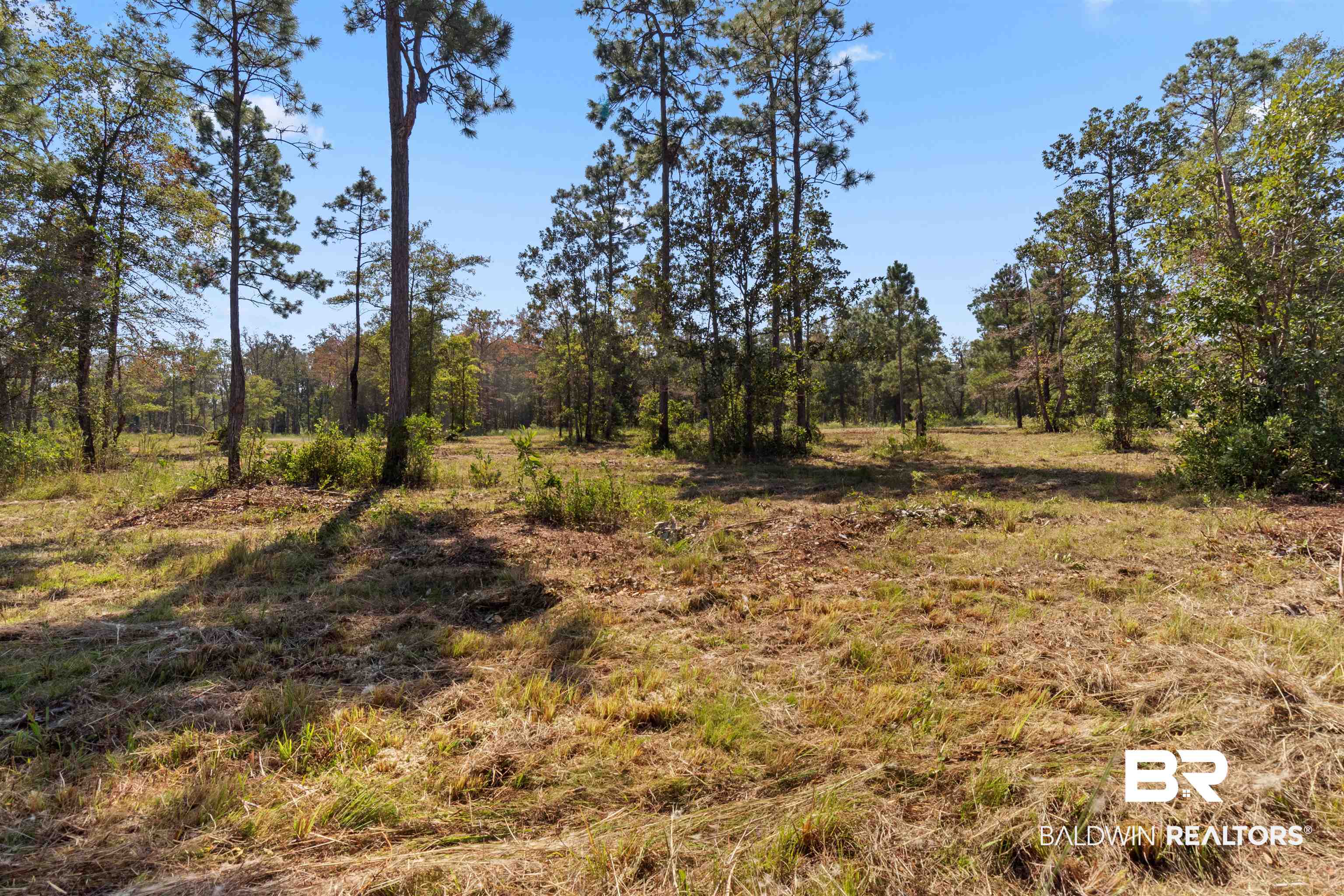 5 Foxtrap Road Axis, AL 36505 - Photo 7 of 7