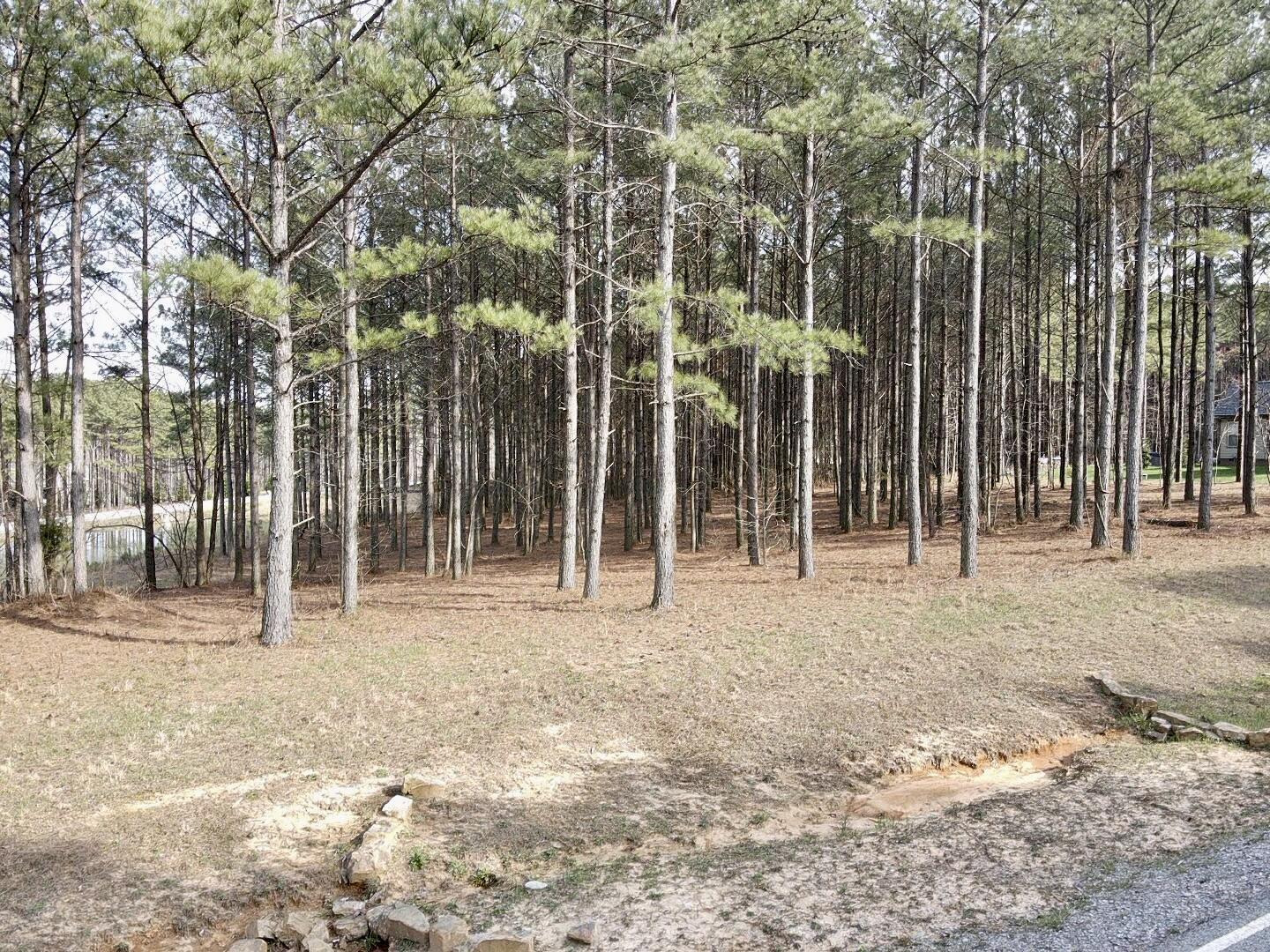 179 High Point Lane Jasper, TN 37347 - Photo 17 of 91 2024-03-21-16-12-23-560