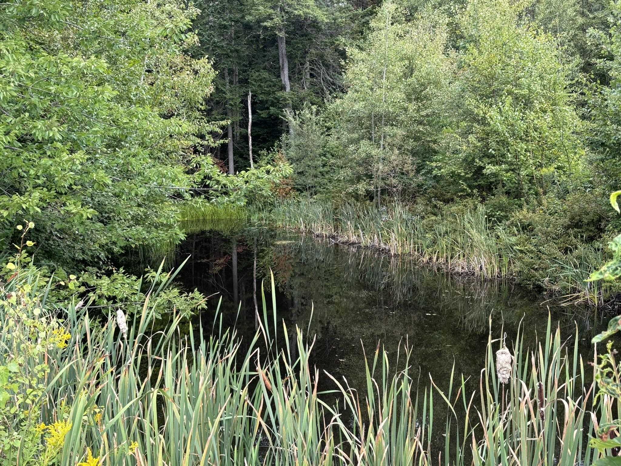 556 Stratton Arlington Road Stratton, VT 05360 - Photo 42 of 44