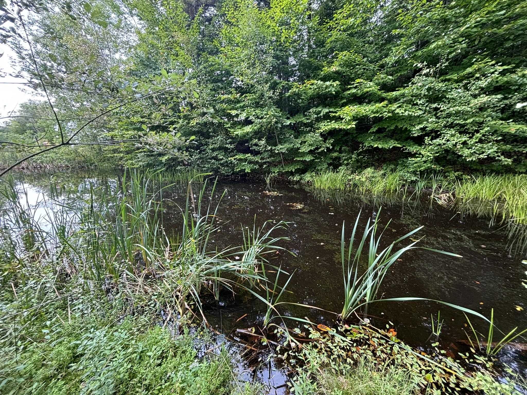 556 Stratton Arlington Road Stratton, VT 05360 - Photo 43 of 44