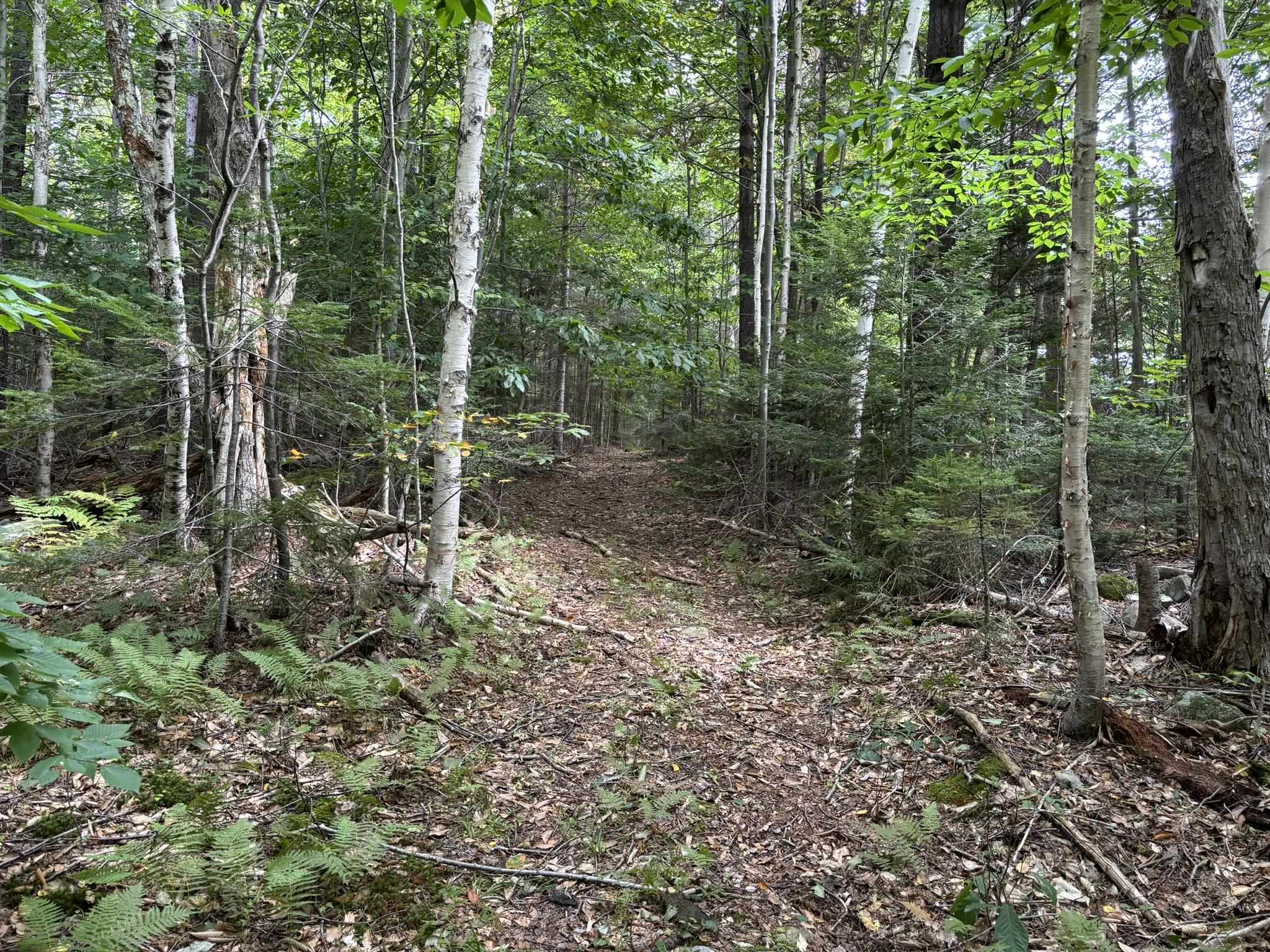 556 Stratton Arlington Road Stratton, VT 05360 - Photo 5 of 44