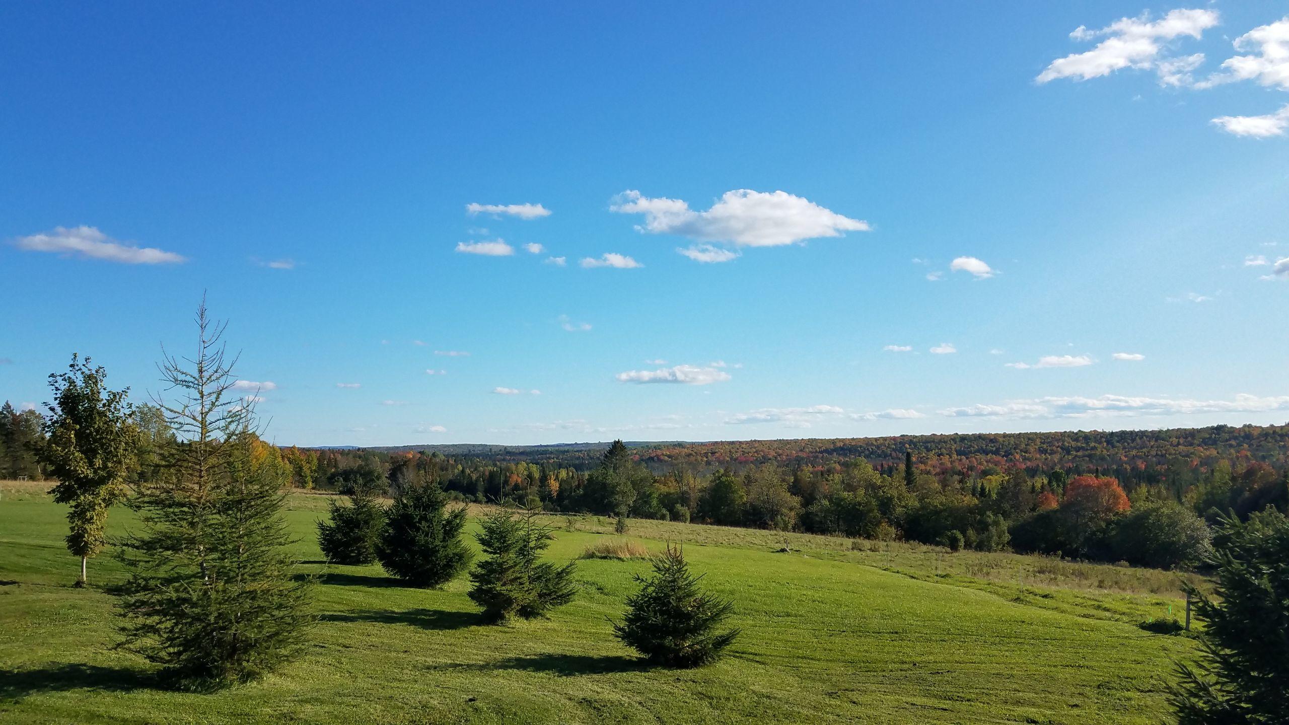 357 Jackins Settlement Road Hodgdon, ME 04730 - Photo 43 of 55 _20190927_160600 (002)