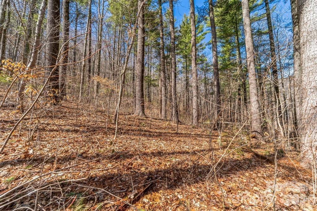 a view of wooden fence