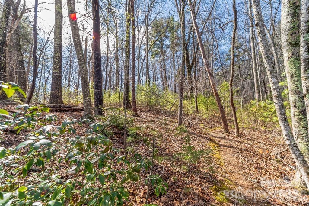 99999 Mill Road Asheville, NC 28805 - Photo 2 of 8 a view of outdoor space with green space
