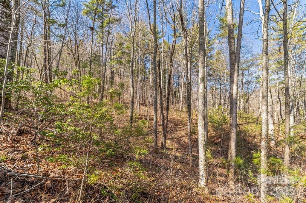 99999 Mill Road Asheville, NC 28805 - Photo 4 of 8 a bathroom with a shower