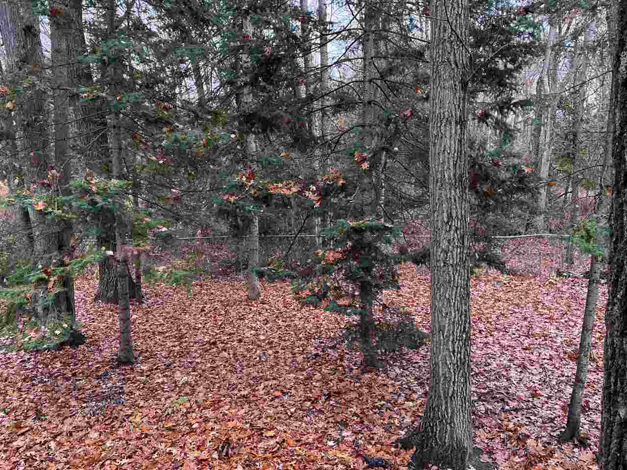 3171 Hazel Road Harrison, MI 48625 - Photo 19 of 32