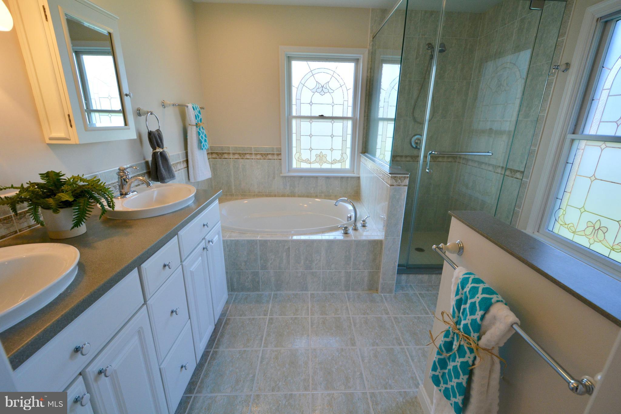 2847 Cox Neck Road Chester, MD 21619 - Photo 19 of 30 Bath (Master)