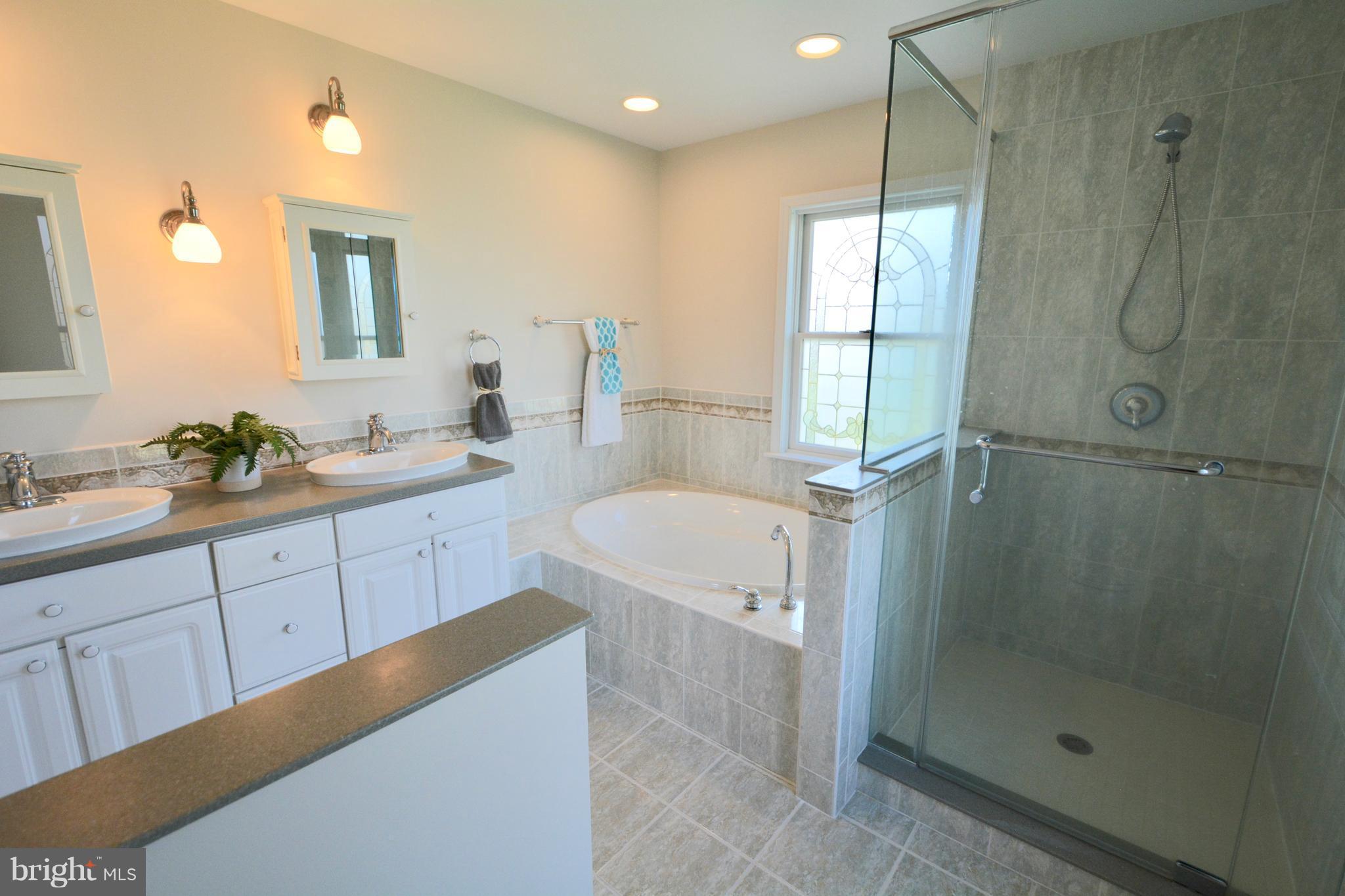 2847 Cox Neck Road Chester, MD 21619 - Photo 20 of 30 Bath (Master)