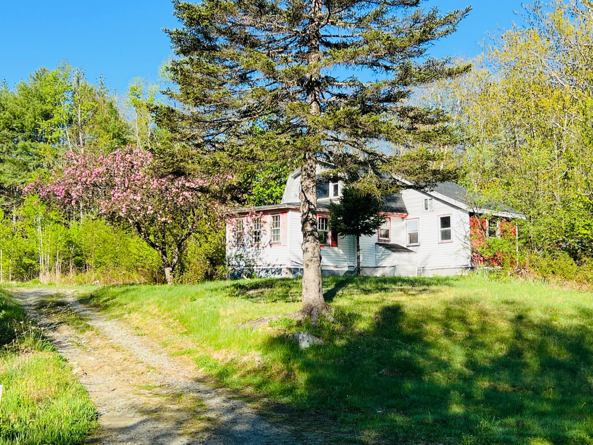 25 Munn Flat Road Athens, ME 04912 - Photo 4 of 16 IMG_9221