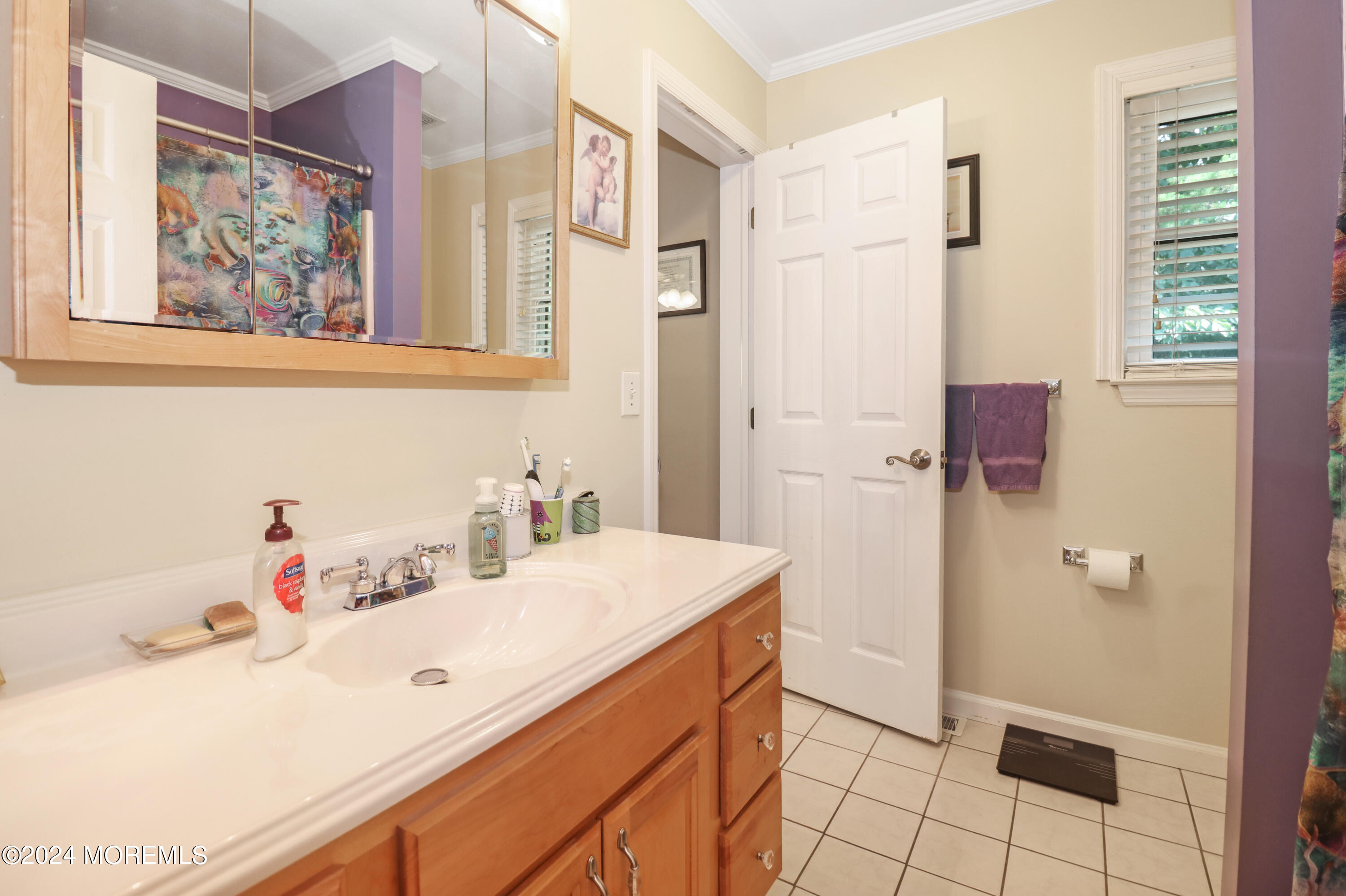 100 Whispering Oaks Way Jackson, NJ 08527 - Photo 34 of 56 a bathroom with a sink and a mirror