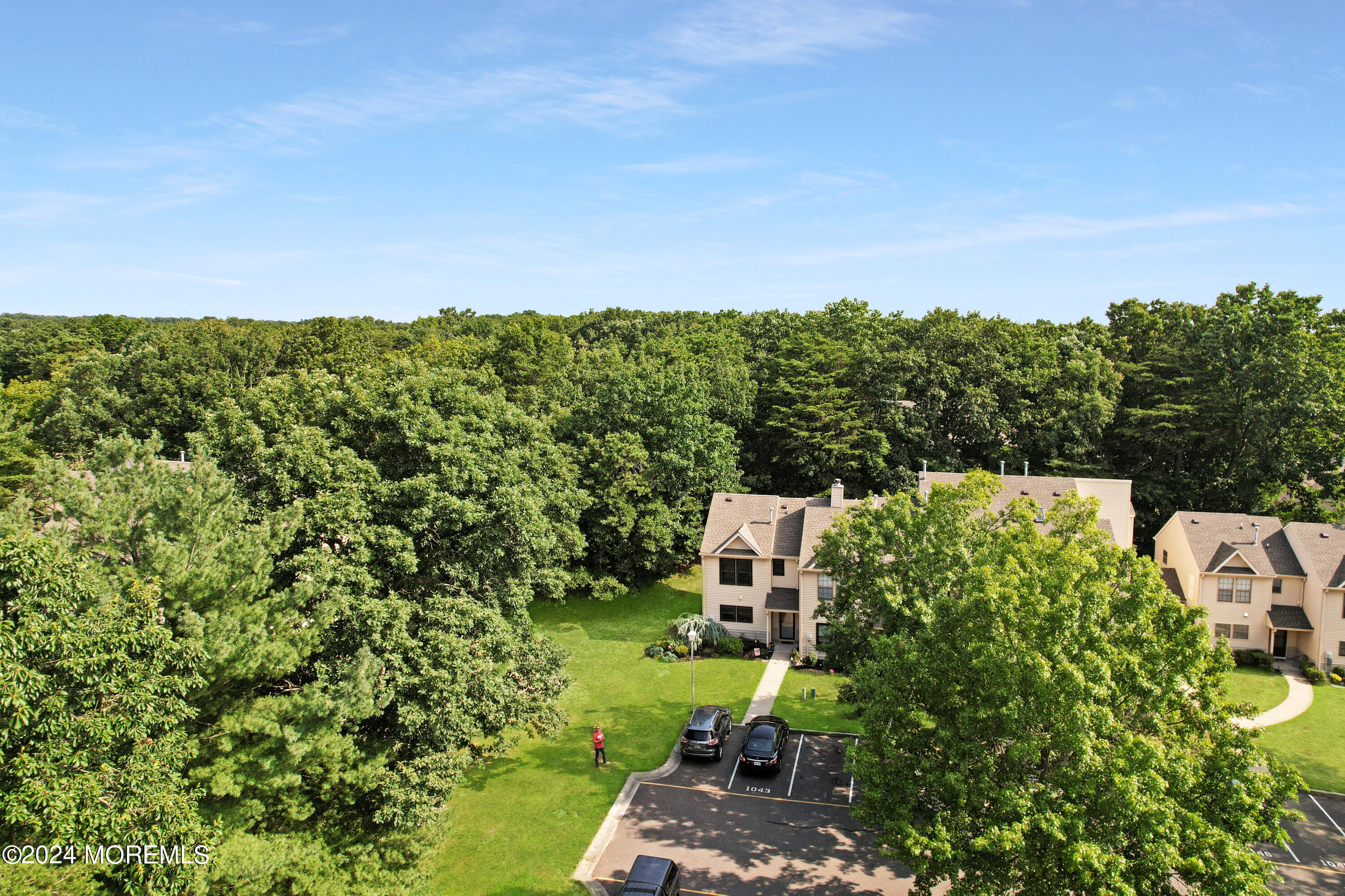 100 Whispering Oaks Way Jackson, NJ 08527 - Photo 6 of 56 DJI_0668