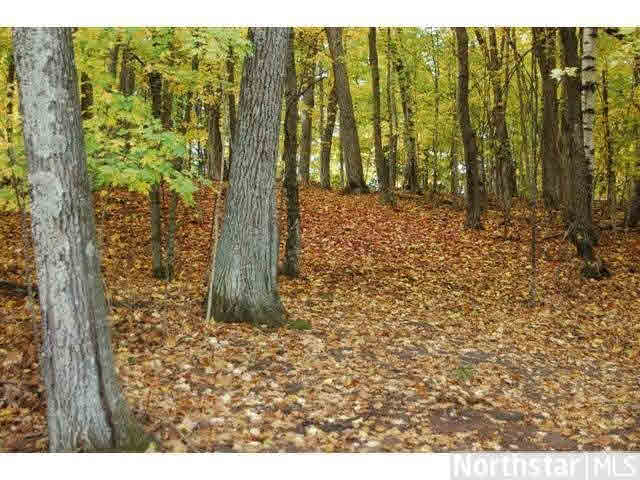 Xxx O'brien Road Brainerd, MN 56444 - Photo 12 of 18 Gallery Image 12