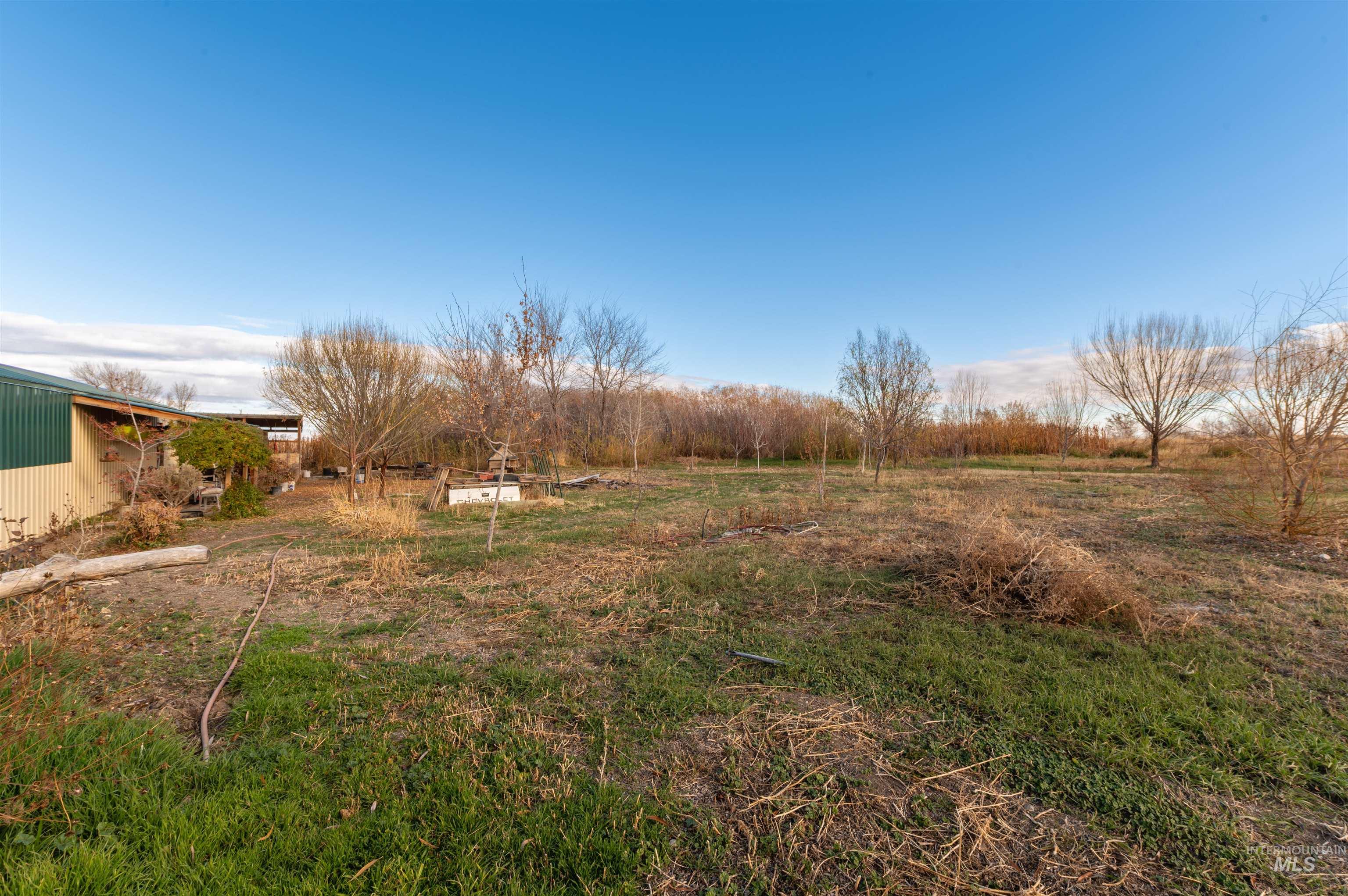 408 Clear Lakes Road Buhl, ID 83316 - Photo 11 of 16 View of yard featuring a view of countryside
