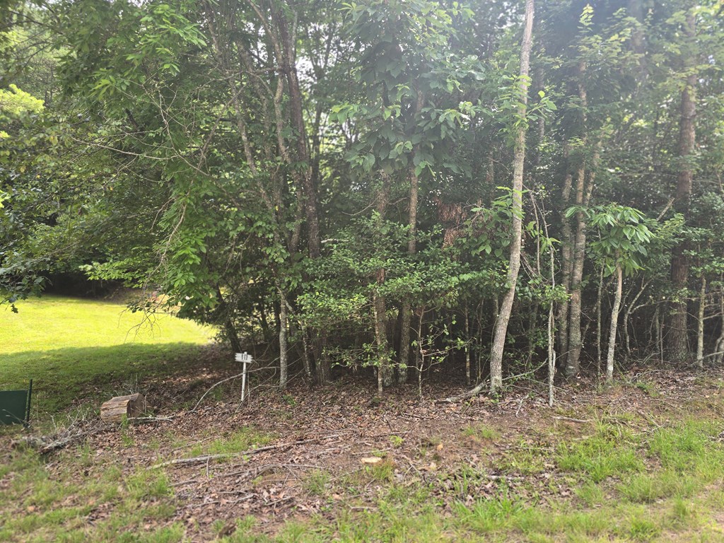 64 Green Oak Road Warne, NC 28909 - Photo 7 of 55