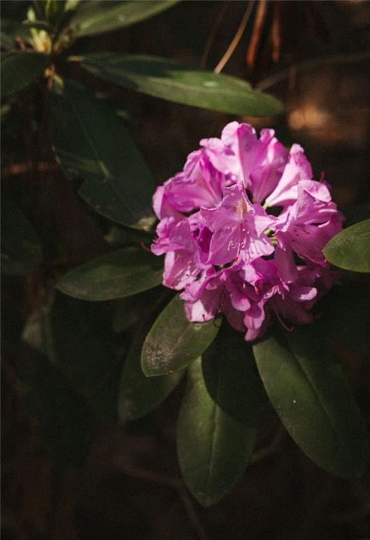 8355 Cedar Grove Road Fairburn, GA 30213 - Photo 32 of 36