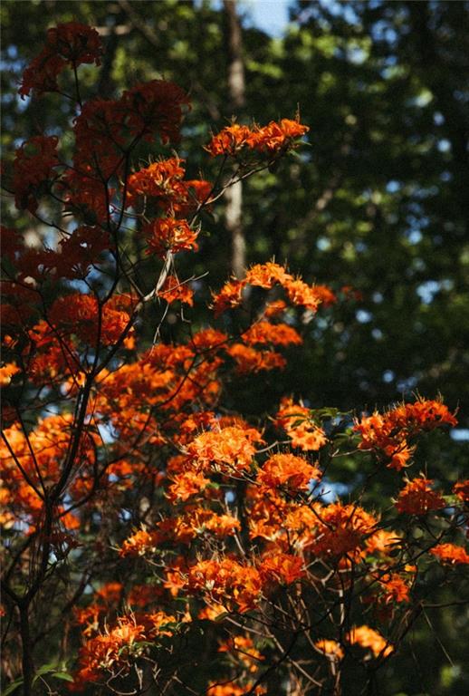 8355 Cedar Grove Road Fairburn, GA 30213 - Photo 33 of 36