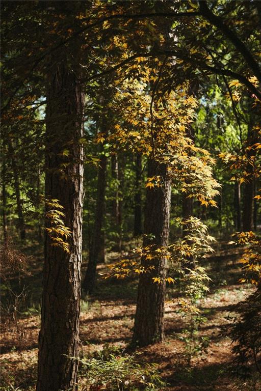 8355 Cedar Grove Road Fairburn, GA 30213 - Photo 36 of 36